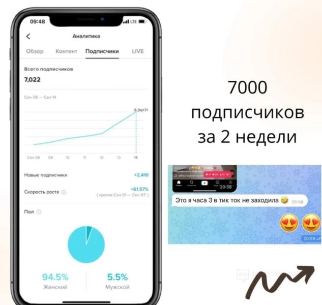 Арбитраж трафика в TikTok в 2024 году — 9 кейсов слива бесплатного трафика с Тик Тока