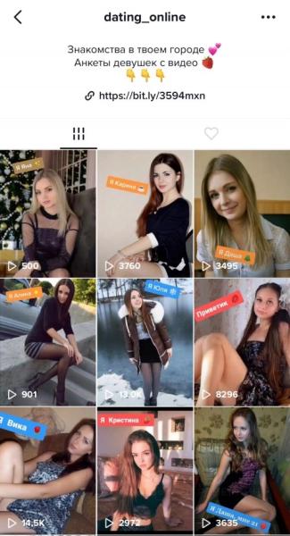 Арбитраж трафика в TikTok в 2024 году — 9 кейсов слива бесплатного трафика с Тик Тока