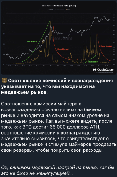 Анатолий Риддик