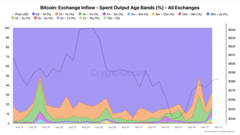 Около 92%  биткоинов на биржи поступают от краткосрочных держателей