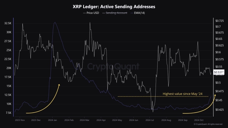 Ежедневная активность в реестре XRP достигла 6-месячного максимума