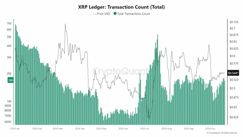 Ежедневная активность в реестре XRP достигла 6-месячного максимума